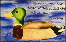 PHOTO: Rainbarrel sketch by The Ducks.