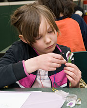 PHOTO: flower dissection