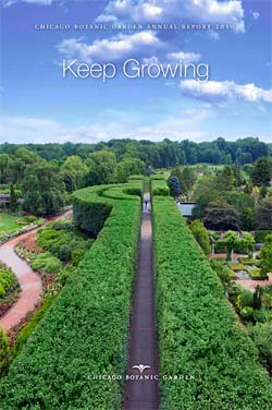 Annual Report PDF