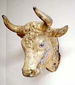 Bull's head