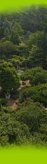 PHOTO: The Garden viewed from above.