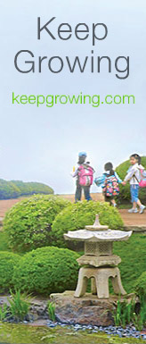 Keep Growing Online