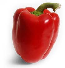 PHOTO: pepper