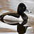 PHOTO: Ring-necked Duck