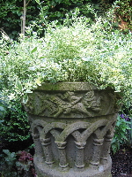 PHOTO: rain barrel by Barrel Depot