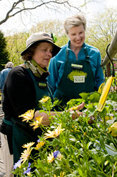 PHOTO: discussing perennials
