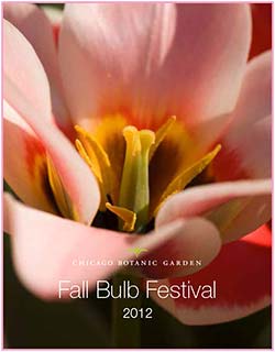 Fall Bulb Festival Catalog PDF