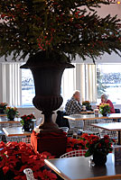 PHOTO: holiday break in the cafe