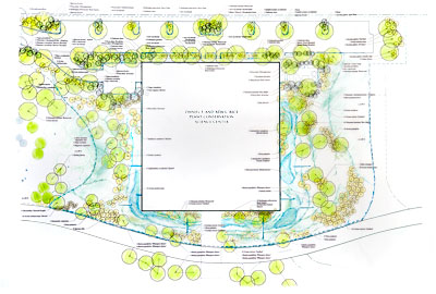PHOTO: bioswale planting diagram