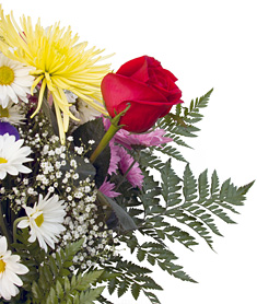 PHOTO: bouquet of flowers
