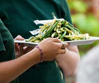 PHOTO: summer vegetables