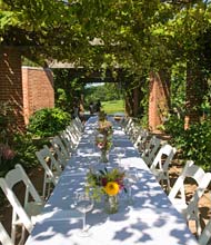 PHOTO: Fruit & Vegetable Garden