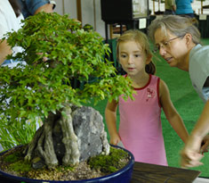 PHOTO: amazed girl shows her mother a bonsai