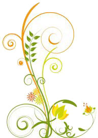 ILLUSTRATION: lotus design