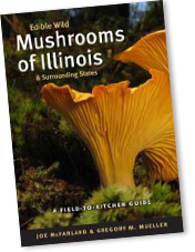 PHOTO: Book Cover