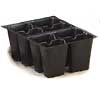 PHOTO: recyclable seedling insert