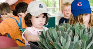 PHOTO plant giveaway