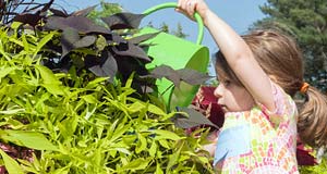 PHOTO plant giveaway