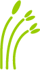 Ecology