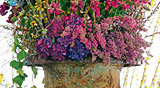 PHOTO: Antiques and Garden Fair