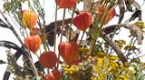 PHOTO: Roadside Flower Sale 