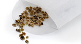 Seed Swap and Lecture