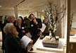 Bonsai Silhouette Show