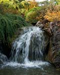 PHOTO: Waterfall Garden