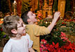 PHOTO: Wonderland tree lighting