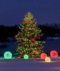 PHOTO: Tree lighting