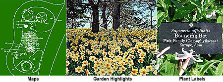 PHOTO: maps, garden highlights, plant labels