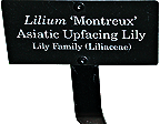 PHOTO: plant label in the Garden