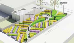 PHOTO: Native Seed Farm rendering