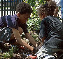PHOTO: neighborhood gardening