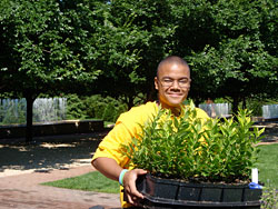 PHOTO: transporting seedlings