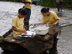 PHOTO: testing the Skokie River's water quality
