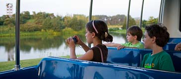 PHOTO: School Field Trips
