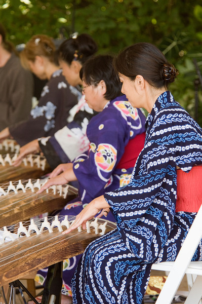 PHOTO: Koto harp performance