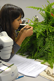 PHOTO: student working in the field