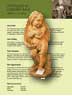 Download PDF