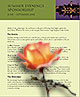 Download PDF