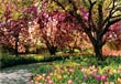Spring notecard