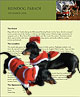 Download PDF