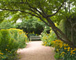 PHOTO: in the English Walled Garden