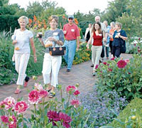 PHOTO: group on tour
