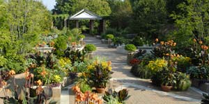 PHOTO: The Buehler Enabling Garden