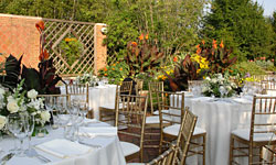 PHOTO: Table setting in Buehler Enabling Garden