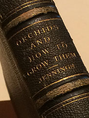 PHOTO: Orchid rare book.