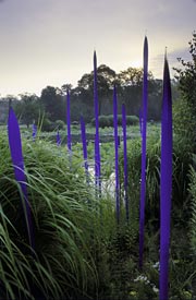 PHOTO: Blue Spears at LongHouse