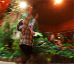 PHOTO: Wonderland Express